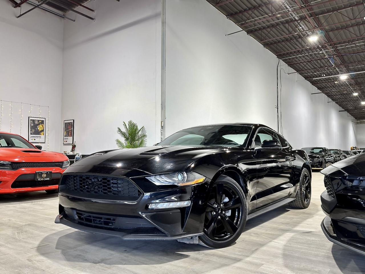 2021 Ford Mustang EB Fastback||Clean Carfax||Heated Seats Photo
