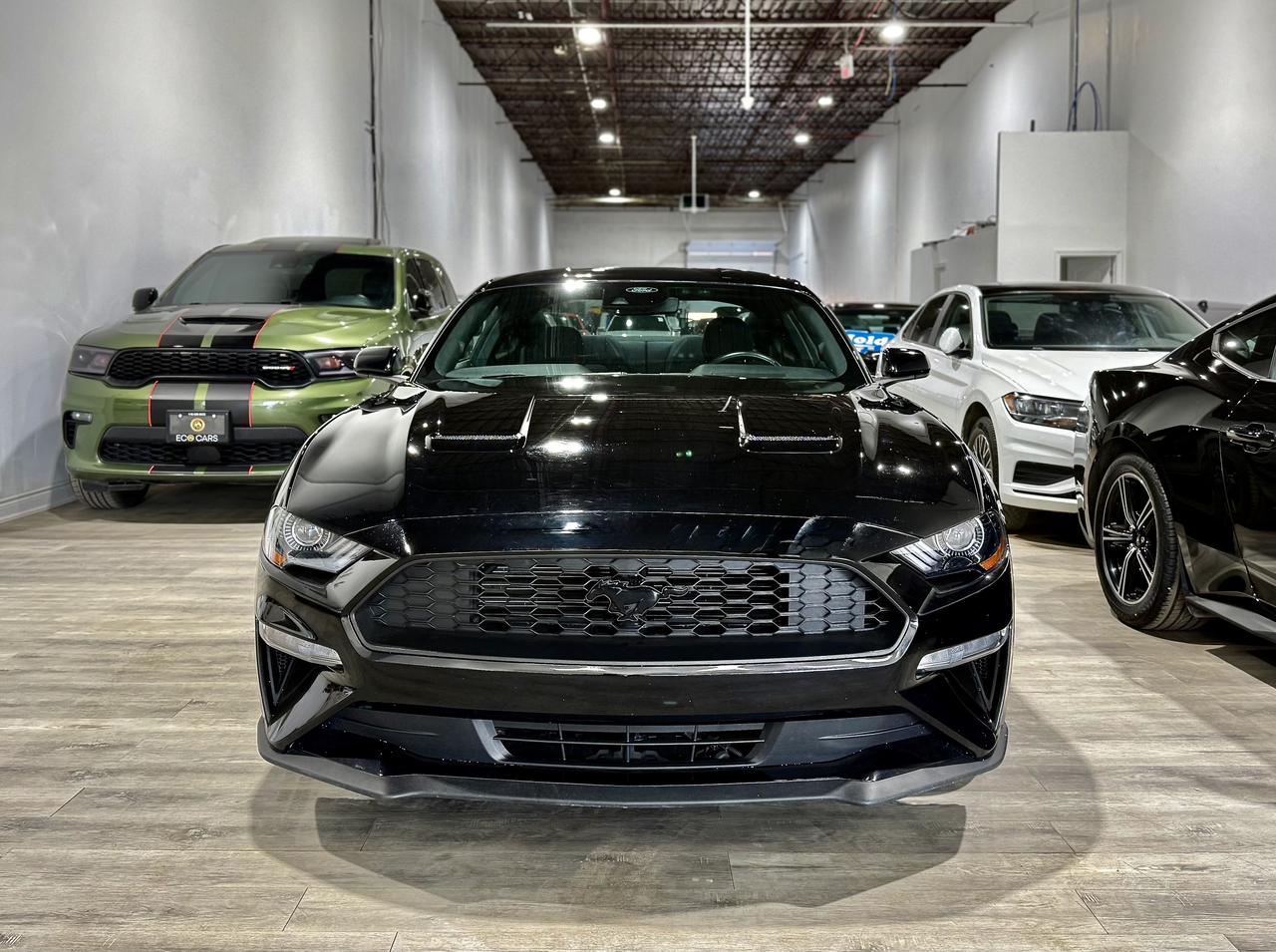 2021 Ford Mustang EB Fastback||Clean Carfax||Heated Seats Photo