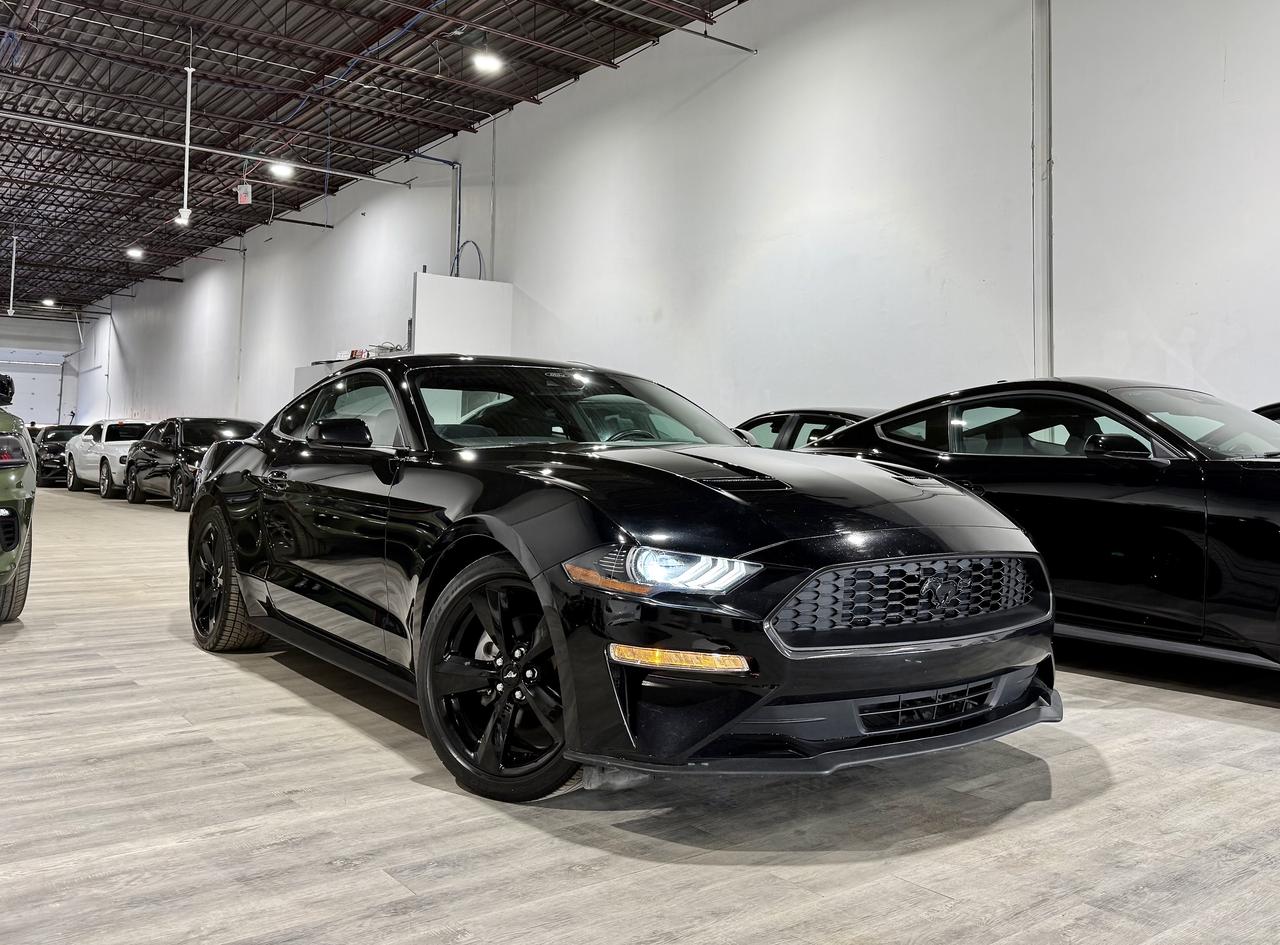 2021 Ford Mustang EB Fastback||Clean Carfax||Heated Seats Photo