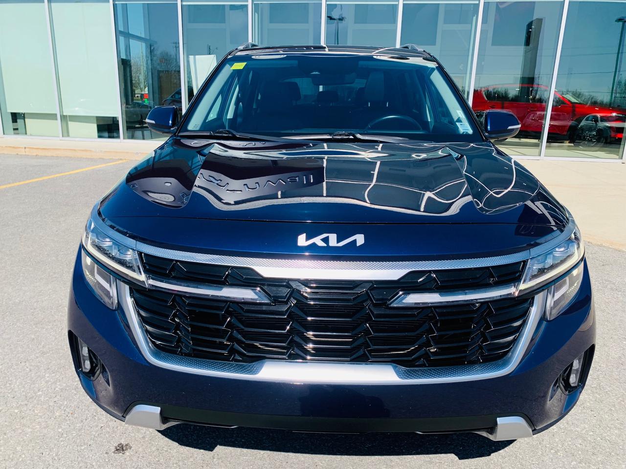 2024 Kia Seltos EX 4dr All-Wheel Drive Photo