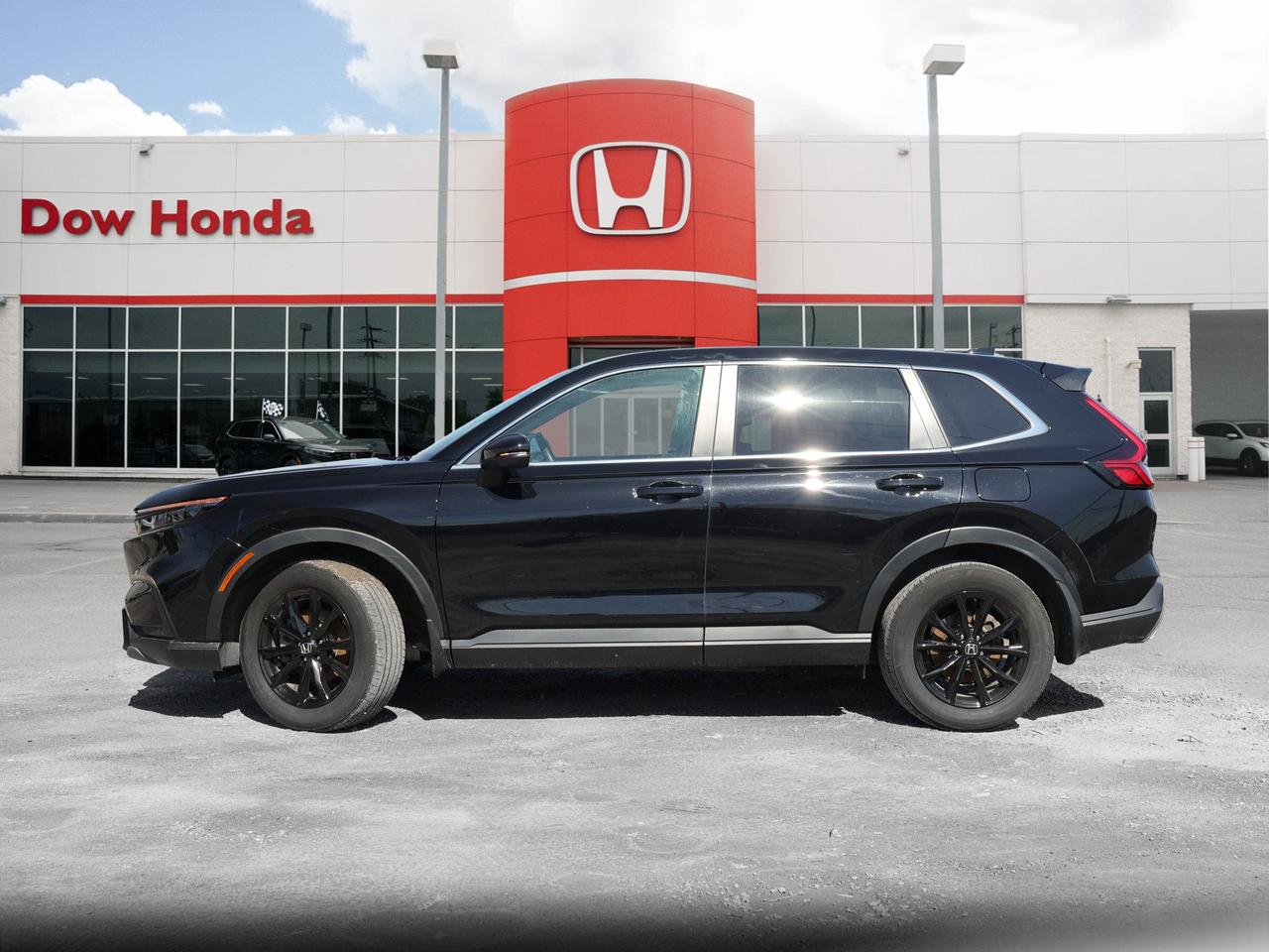 2025 Honda CR-V Hybrid EX-L 4dr All-Wheel Drive Photo