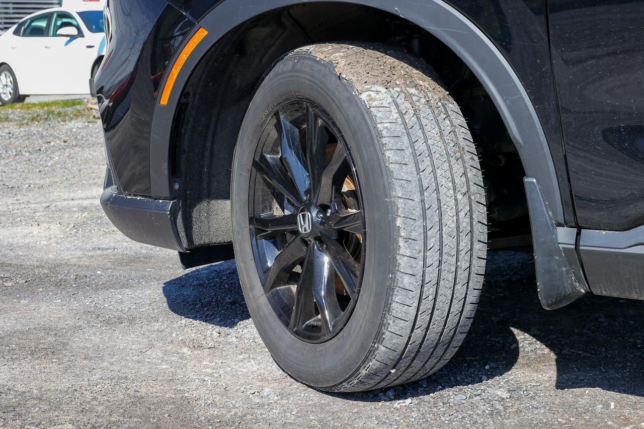 2025 Honda CR-V Hybrid EX-L 4dr All-Wheel Drive Photo