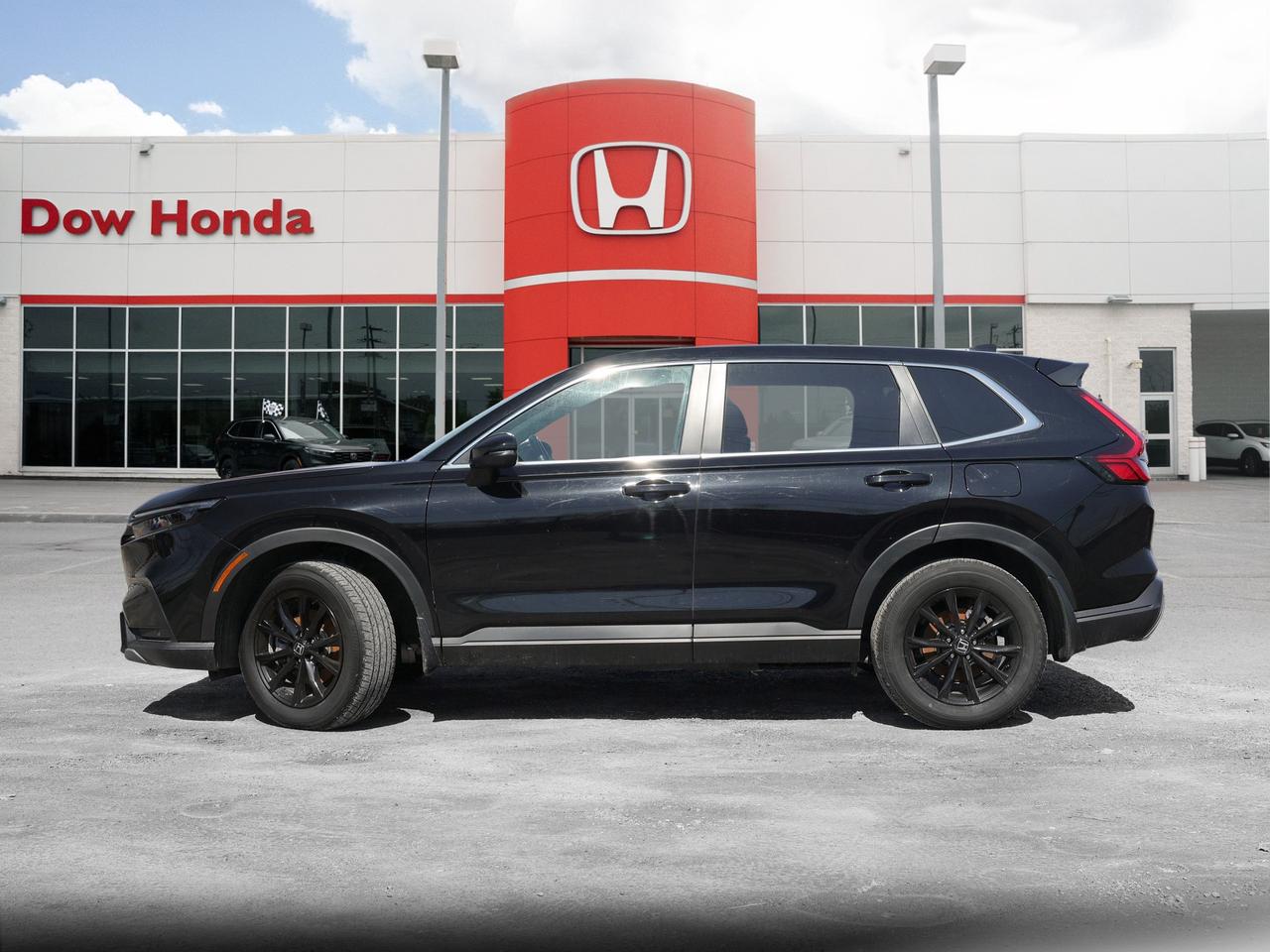 2025 Honda CR-V Hybrid EX-L 4dr All-Wheel Drive Photo
