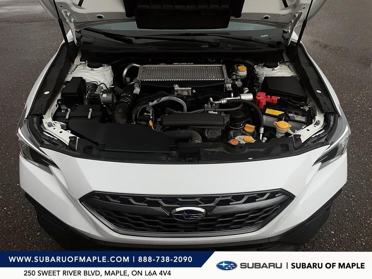 2024 Subaru WRX Manual Photo