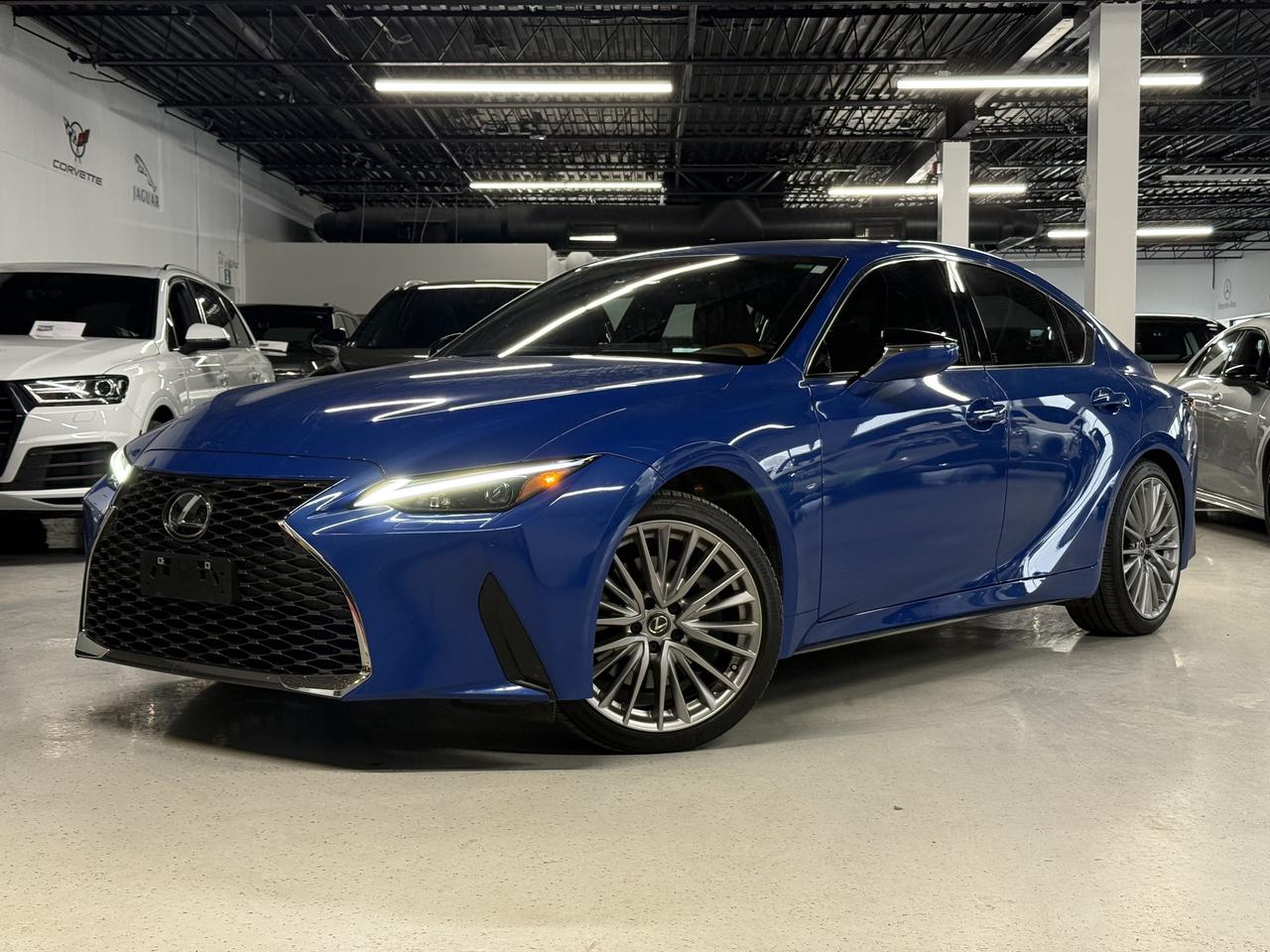 2024 Lexus IS No Accidents l IS300 l AWD l Lexus Warranty l V6 Photo