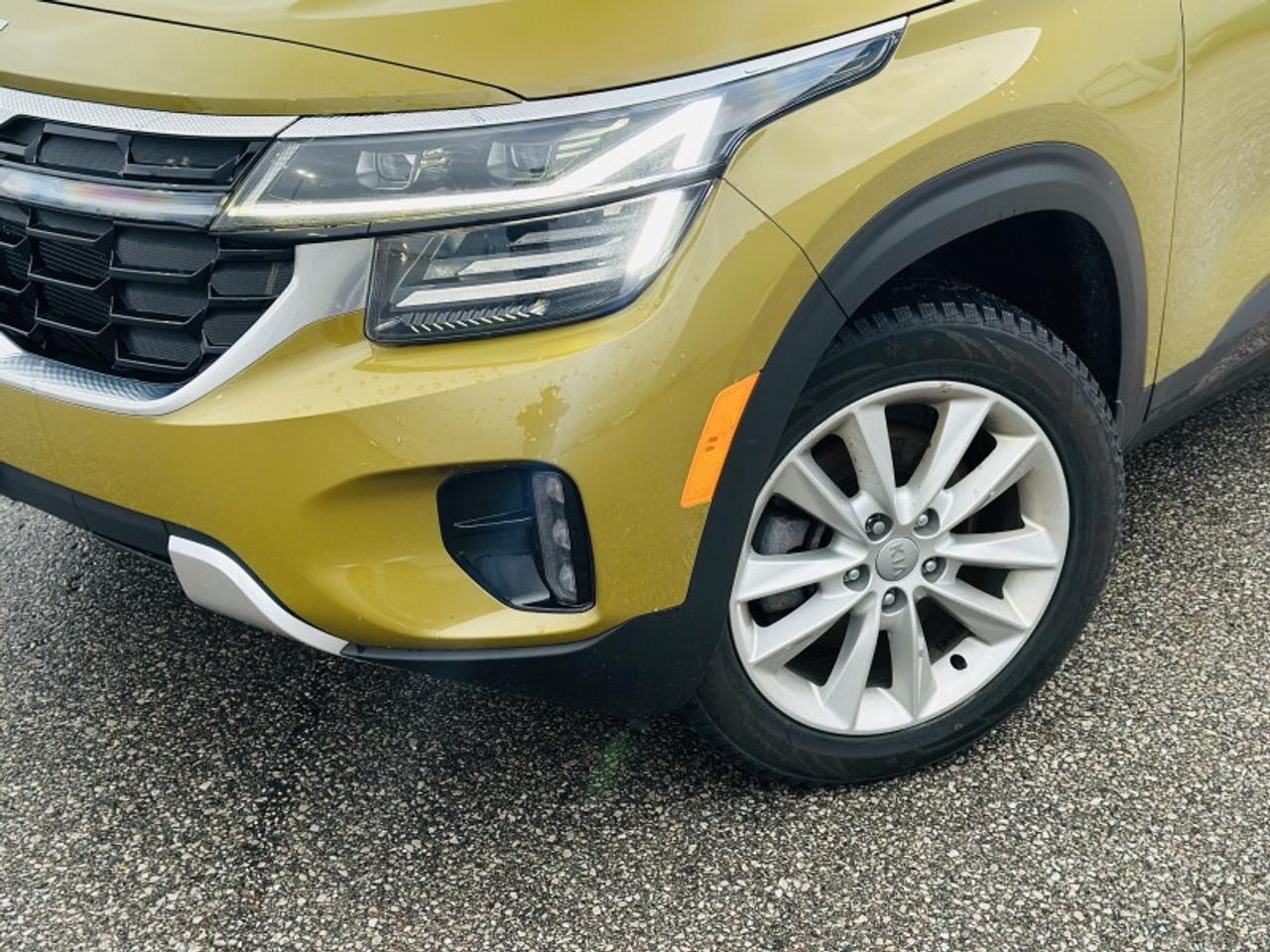 2024 Kia Seltos EX PREMIUM Photo