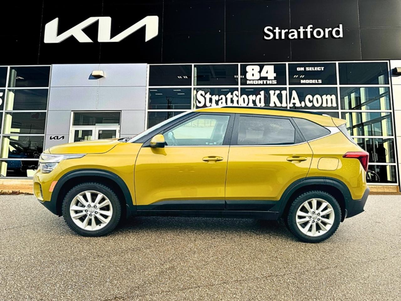 2024 Kia Seltos EX PREMIUM Photo2