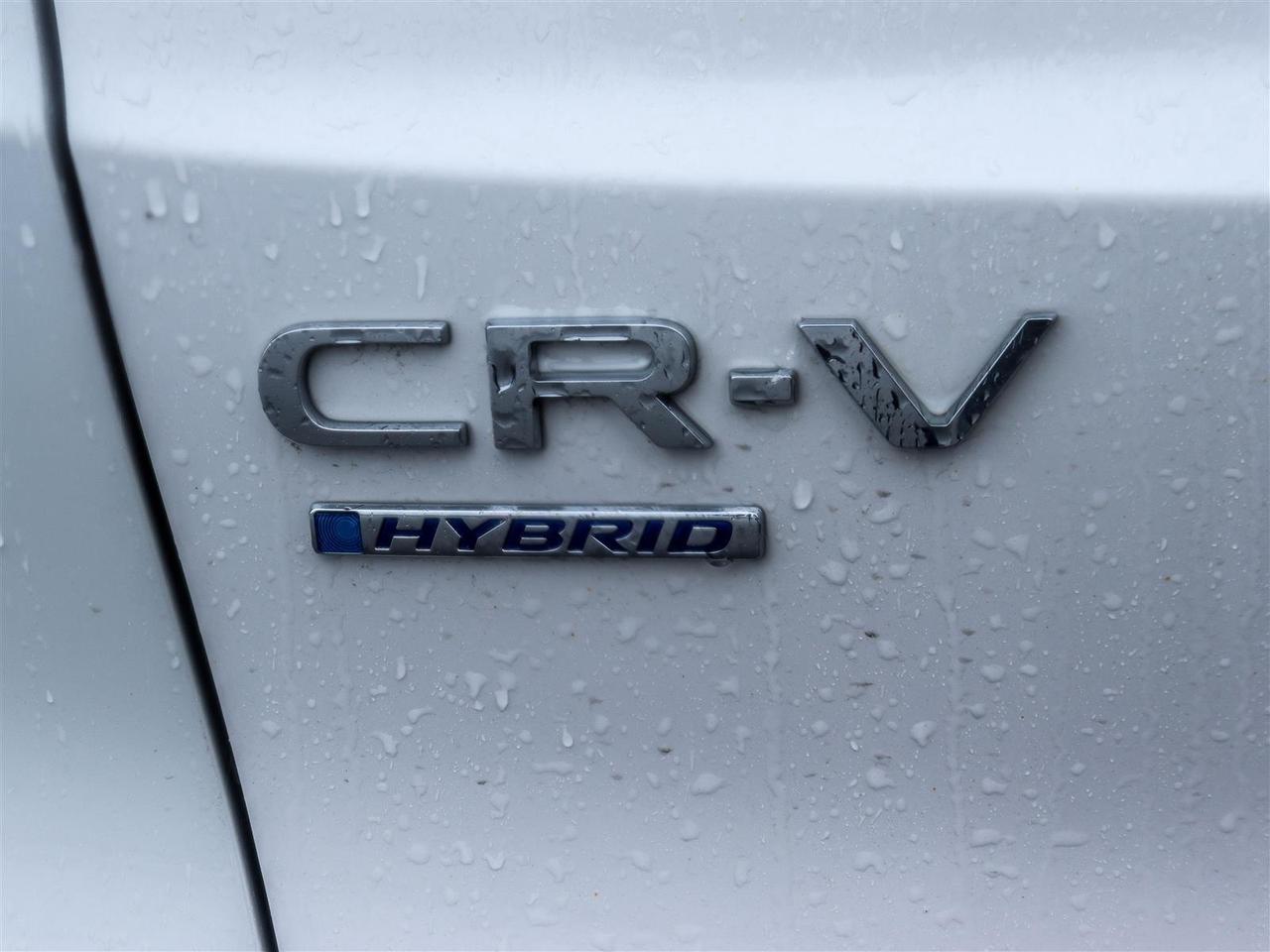 2024 Honda CR-V Hybrid EX-L 4dr All-Wheel Drive Photo