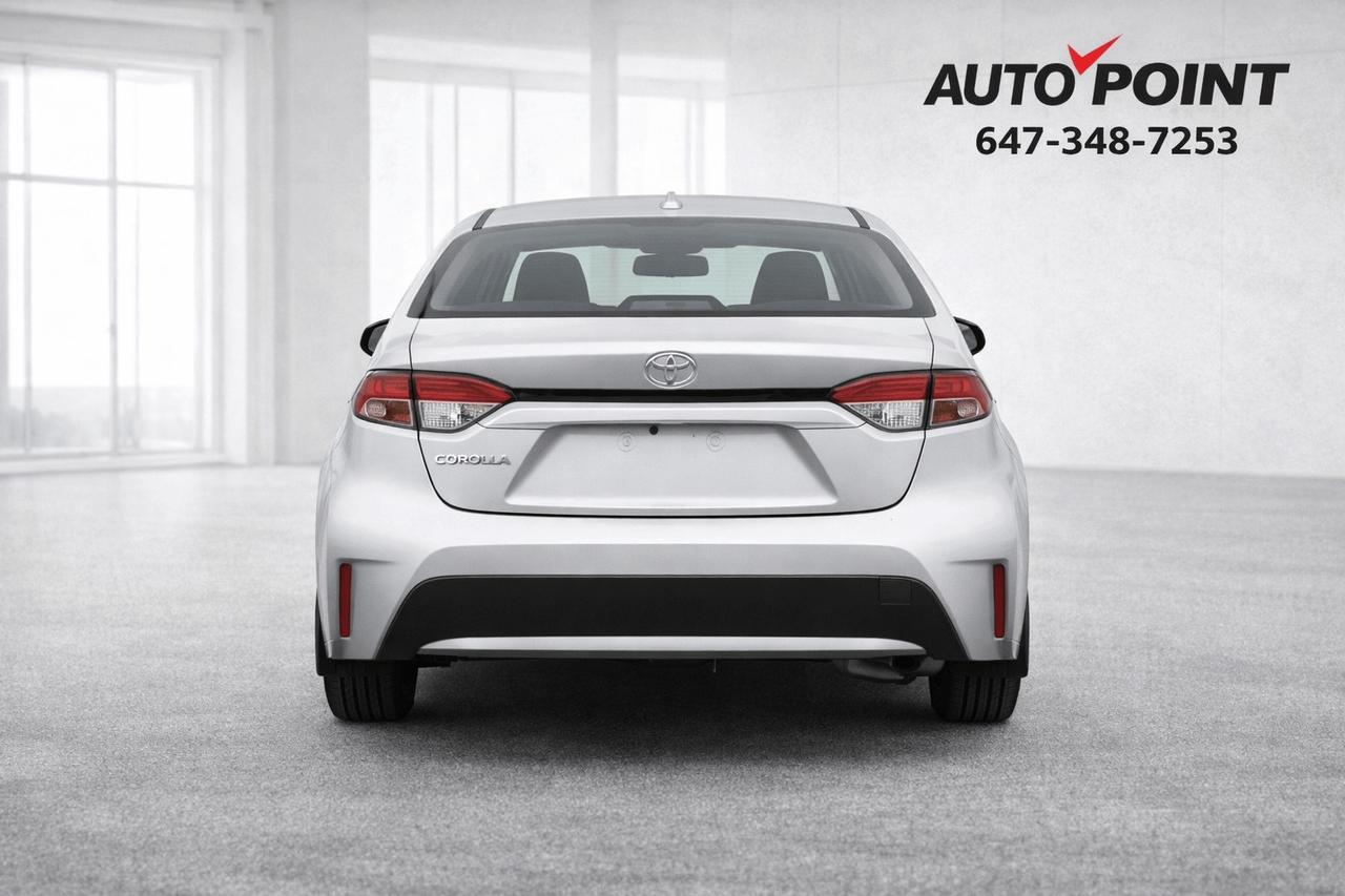 2020 Toyota Corolla LE Photo