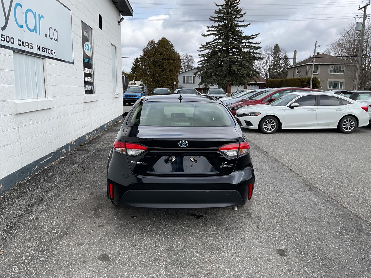 2024 Toyota Corolla Hybrid  Photo