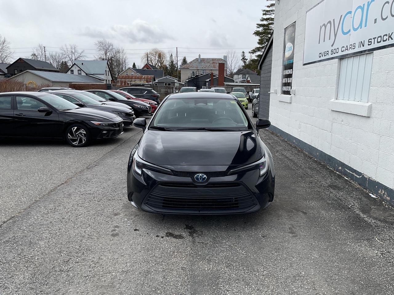 2024 Toyota Corolla Hybrid  Photo