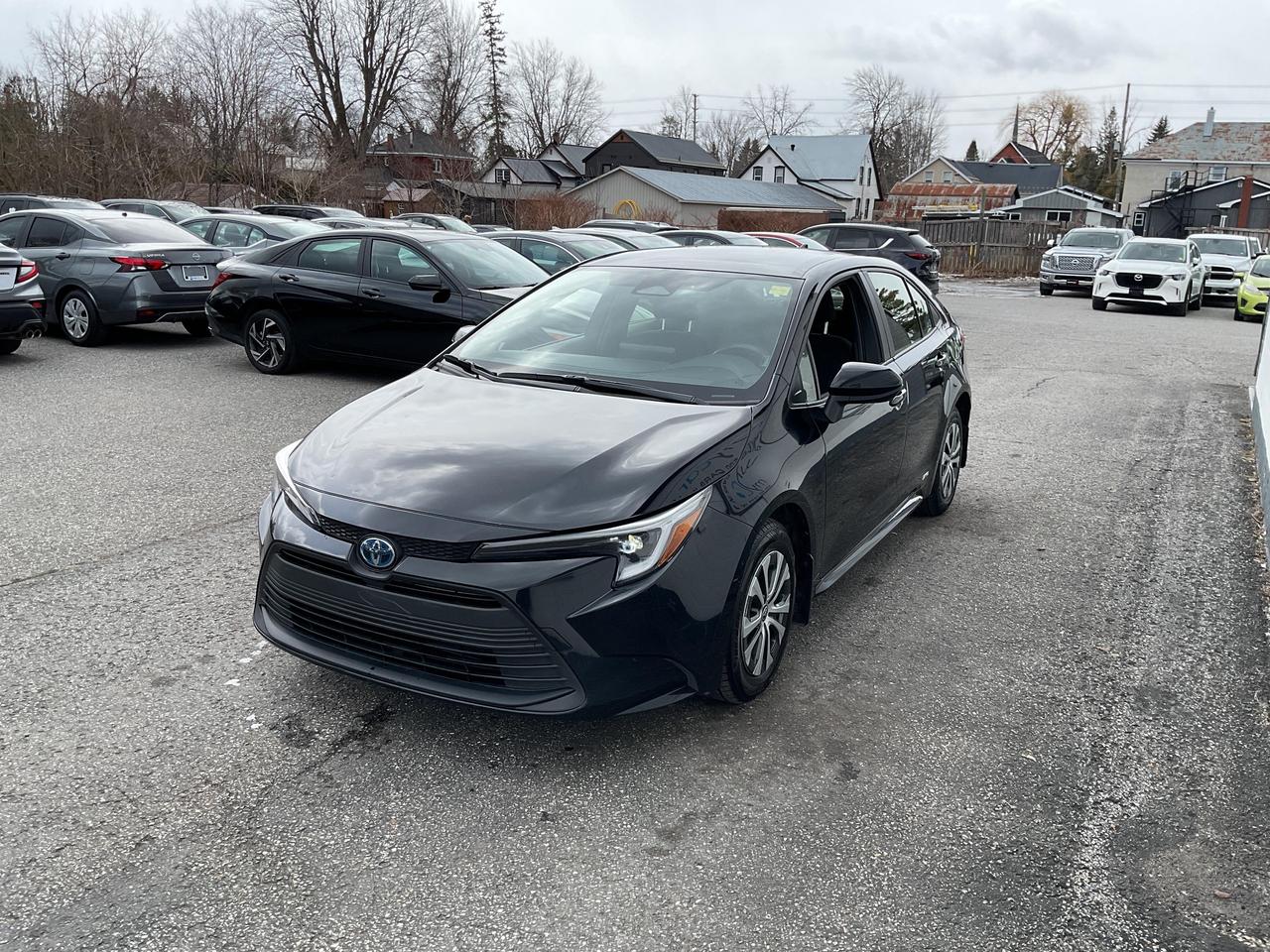 2024 Toyota Corolla Hybrid  Photo
