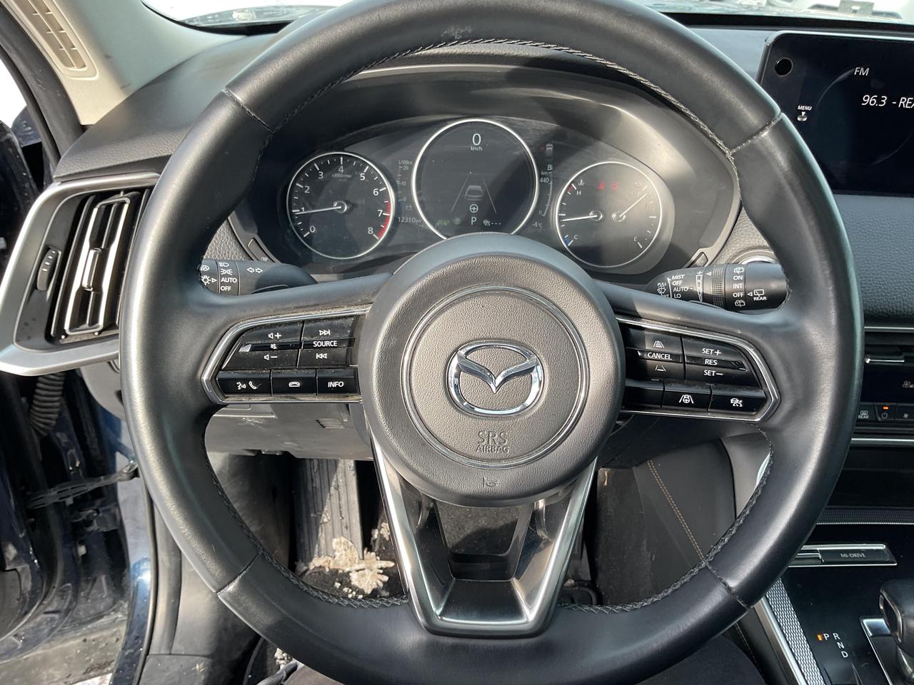 2025 Mazda CX-90 MHEV GT 4dr i-ACTIV All-Wheel Drive Sport Utility Photo