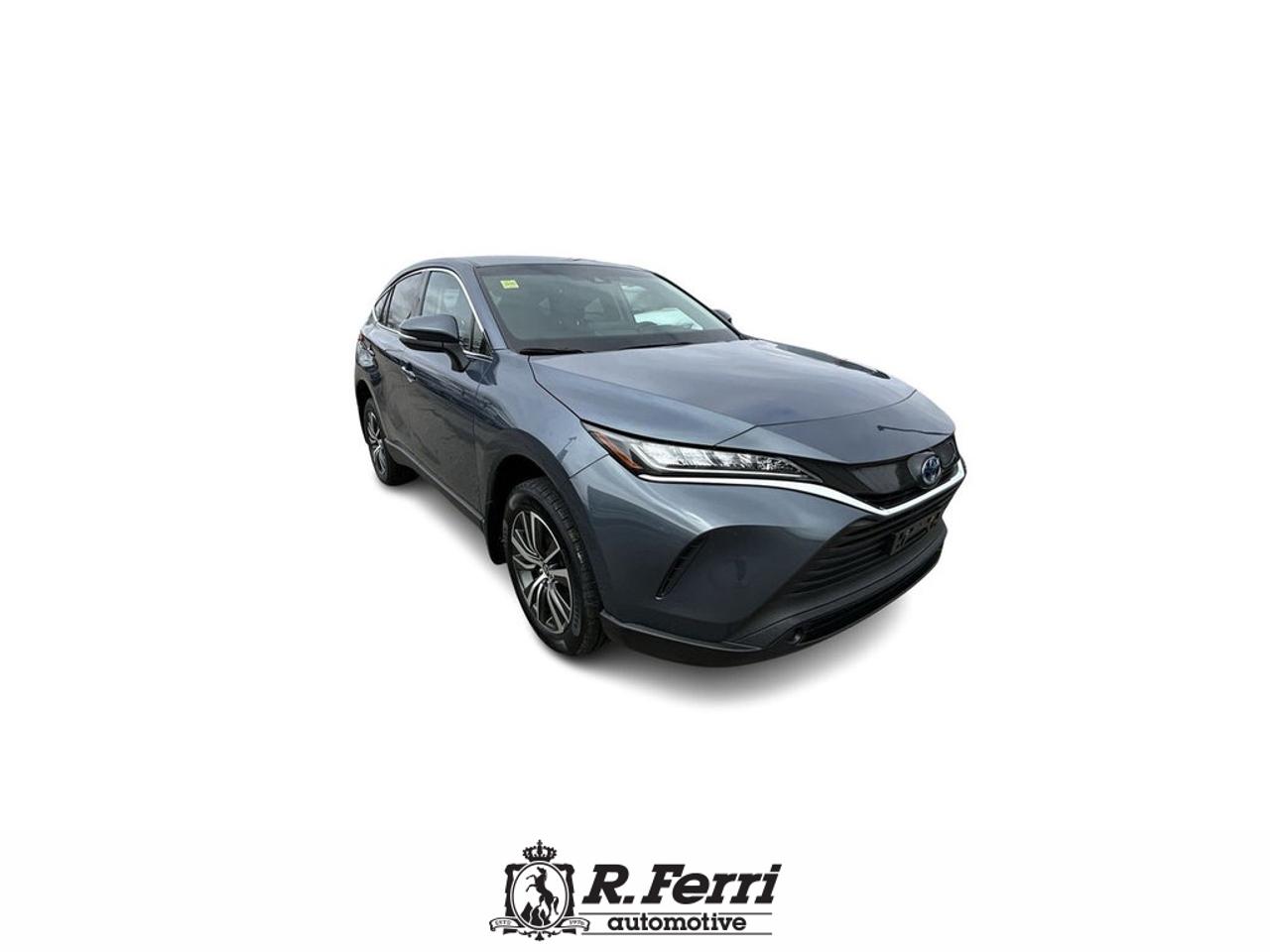 2024 Toyota Venza LE 4dr All-wheel Drive Photo
