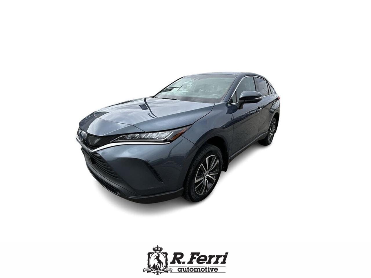 2024 Toyota Venza LE 4dr All-wheel Drive Photo