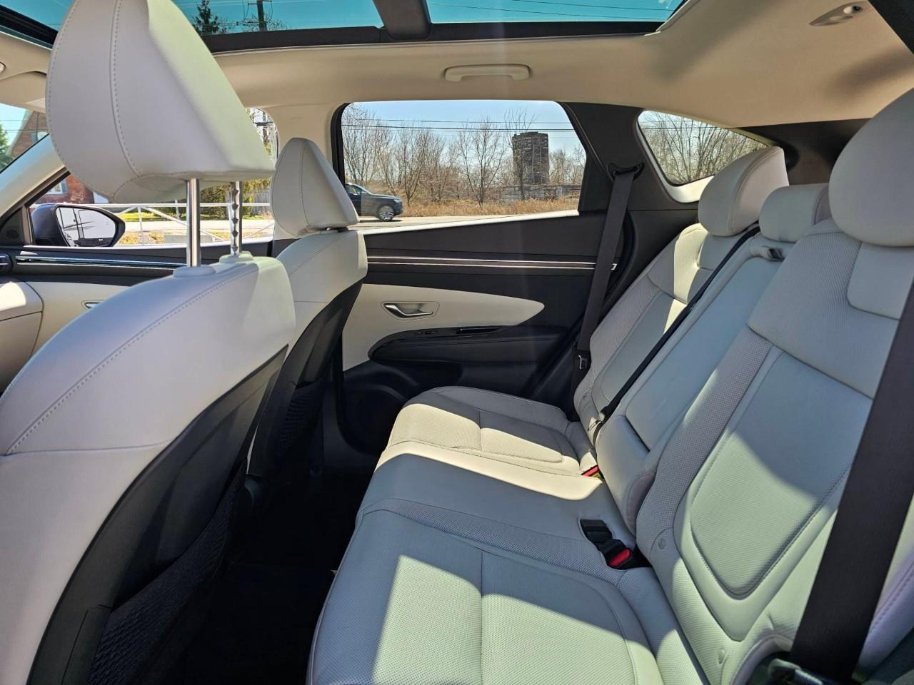 2024 Hyundai Tucson Hybrid Ultimate 4dr All-Wheel Drive Photo