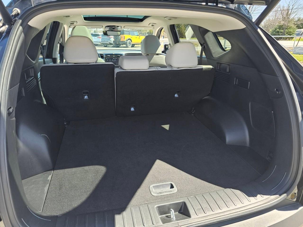 2024 Hyundai Tucson Hybrid Ultimate 4dr All-Wheel Drive Photo
