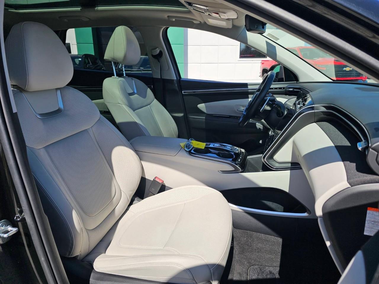 2024 Hyundai Tucson Hybrid Ultimate 4dr All-Wheel Drive Photo
