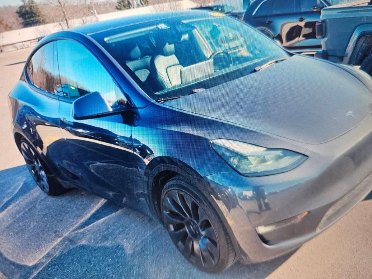 2022 Tesla Model Y Performance 4dr All-Wheel Drive Sport Utility Photo0