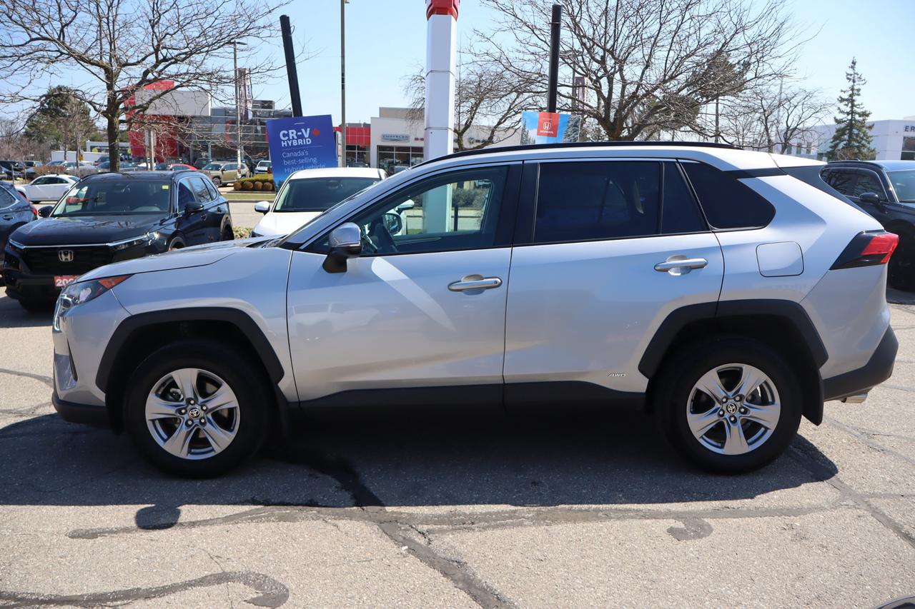 2025 Toyota RAV4 Hybrid LE 4dr All-Wheel Drive Photo