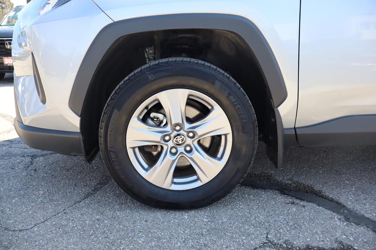 2025 Toyota RAV4 Hybrid LE 4dr All-Wheel Drive Photo