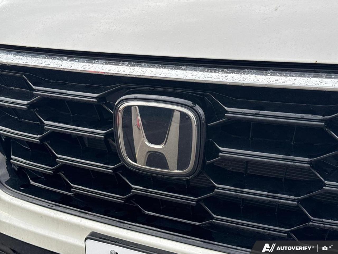 2023 Honda CR-V EX-L AWD   4 NEW TIRES   SUNROOF   NO CLAIMS Photo