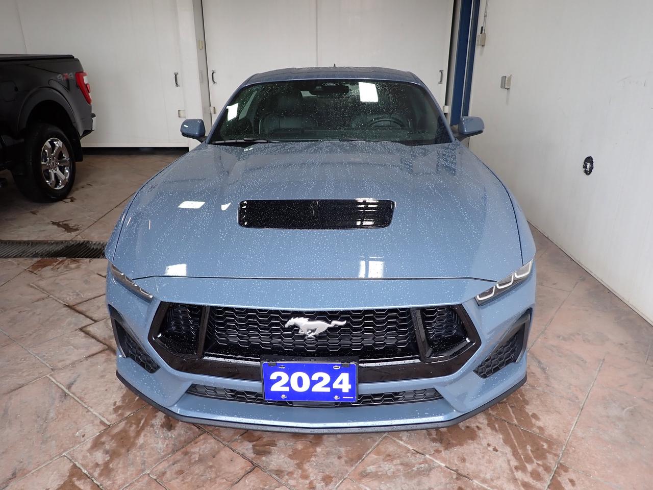 2024 Ford Mustang GT PREMIUM COUPE LEATHER NAVI Photo