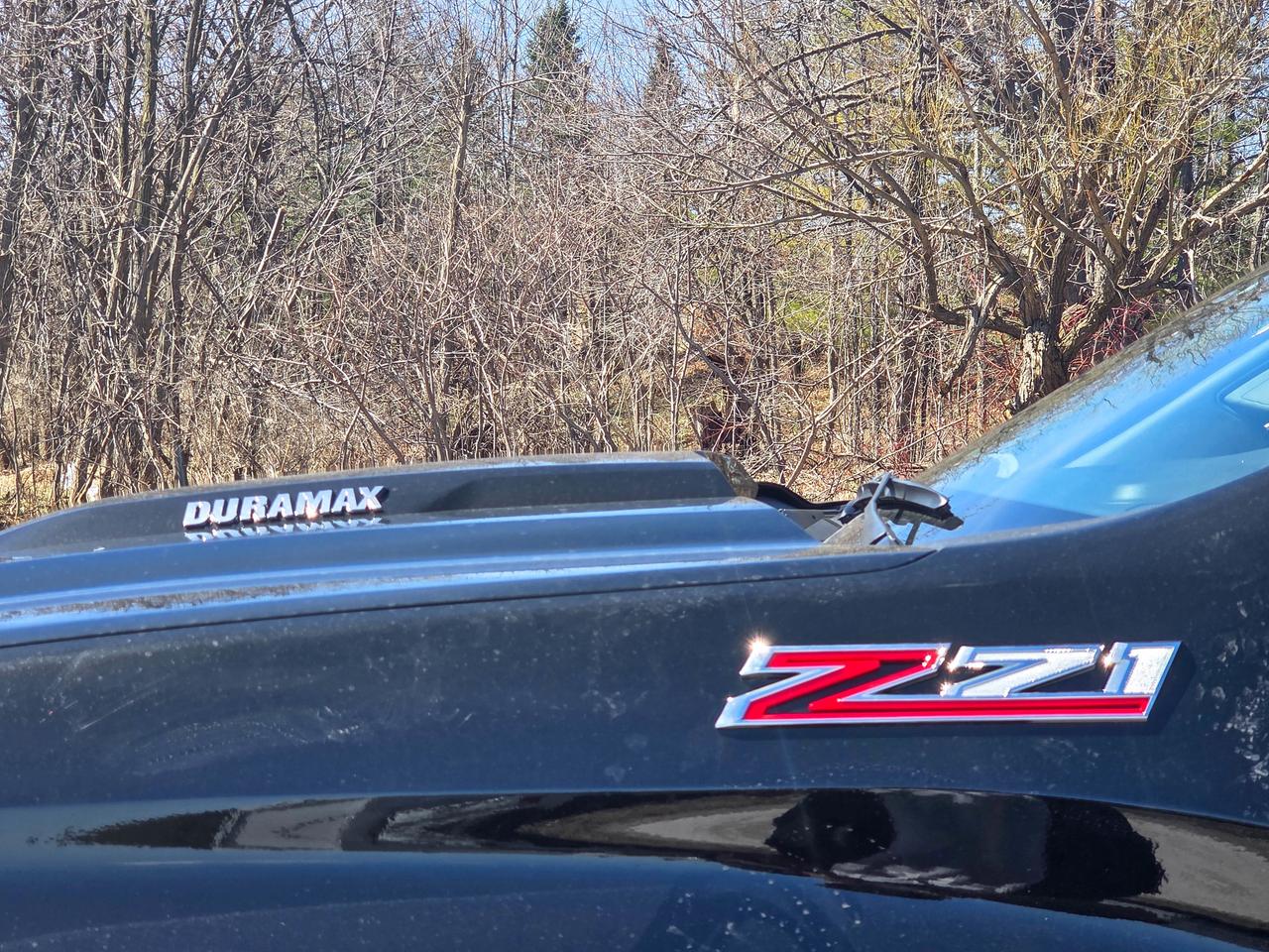 2026 Chevrolet Silverado 1500 LT Trail Boss Photo