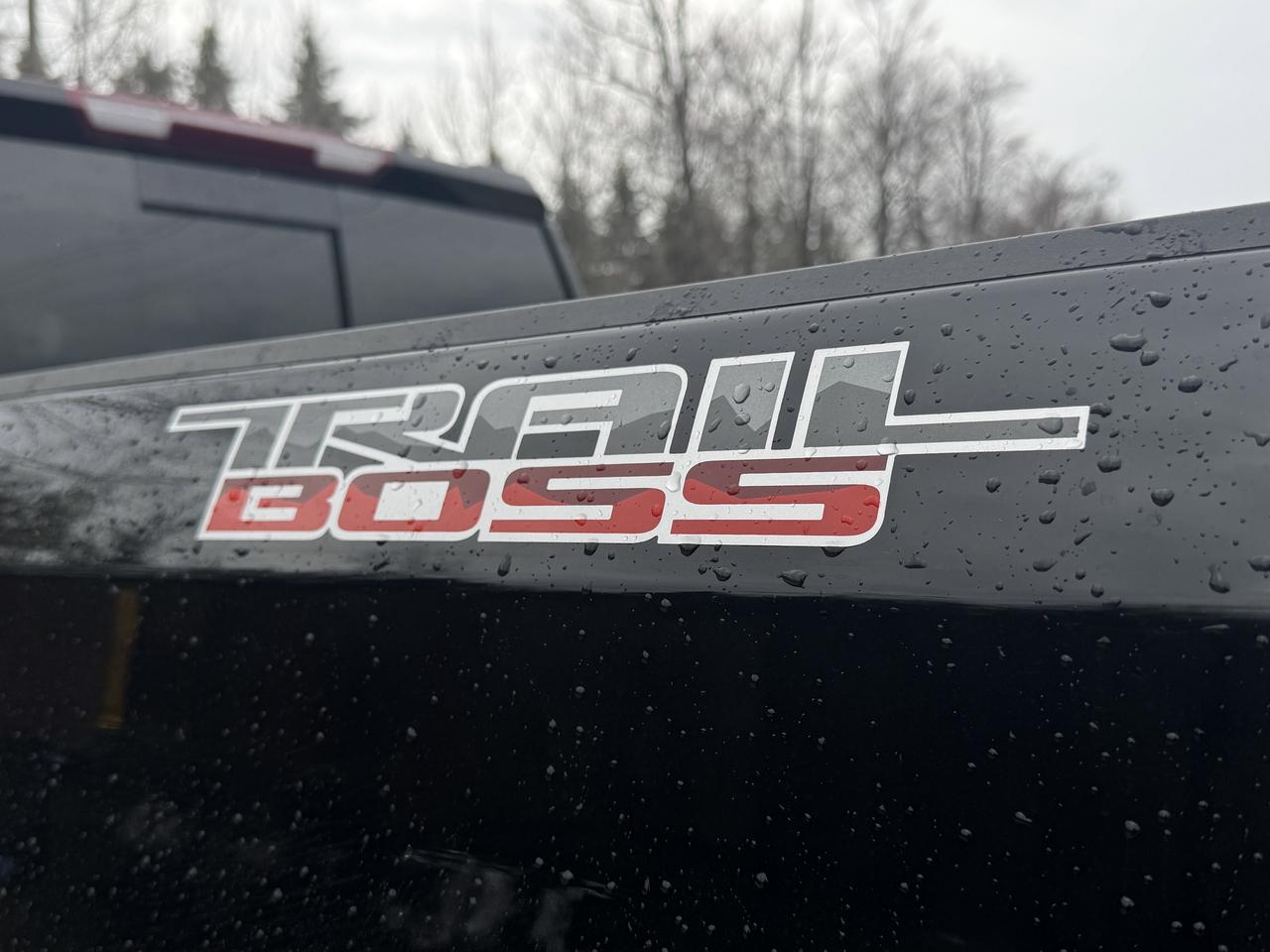 2026 Chevrolet Silverado 1500 LT Trail Boss Photo
