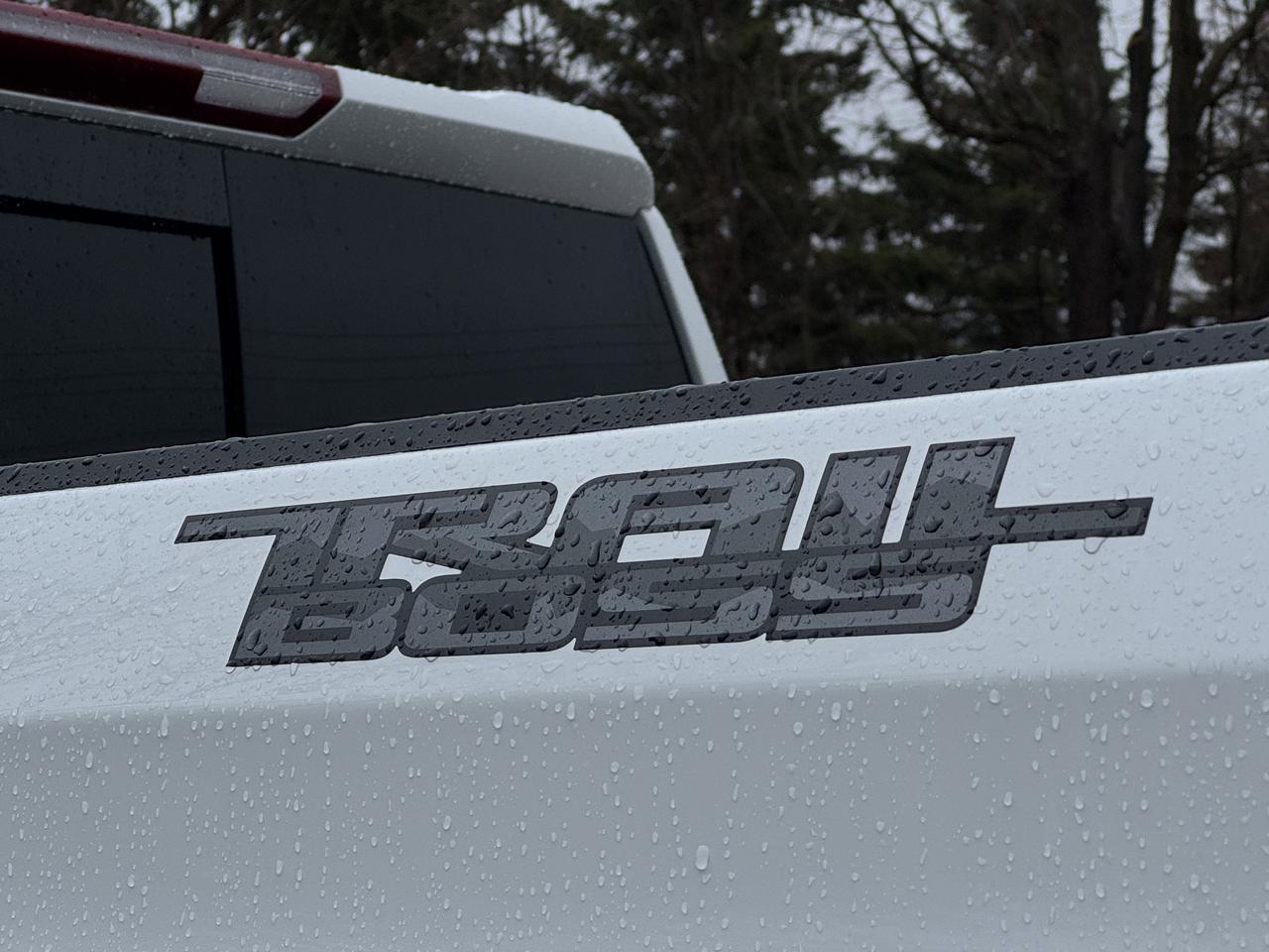2026 Chevrolet Silverado 1500 LT Trail Boss Photo