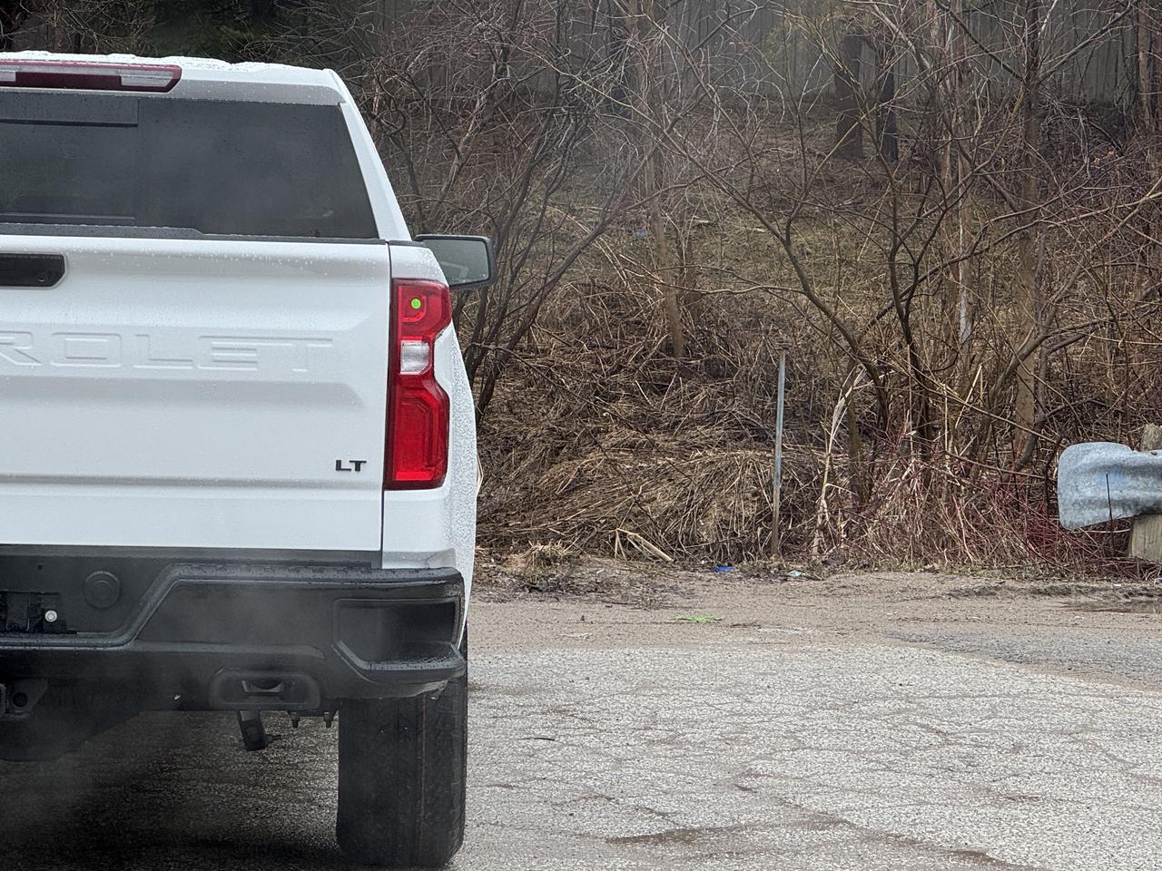 2026 Chevrolet Silverado 1500 LT Trail Boss Photo