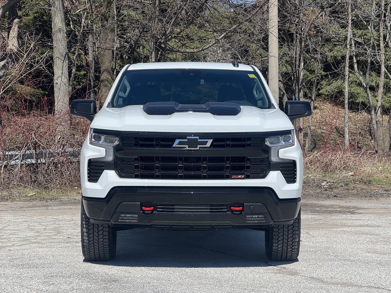 2026 Chevrolet Silverado 1500 LT Trail Boss Photo