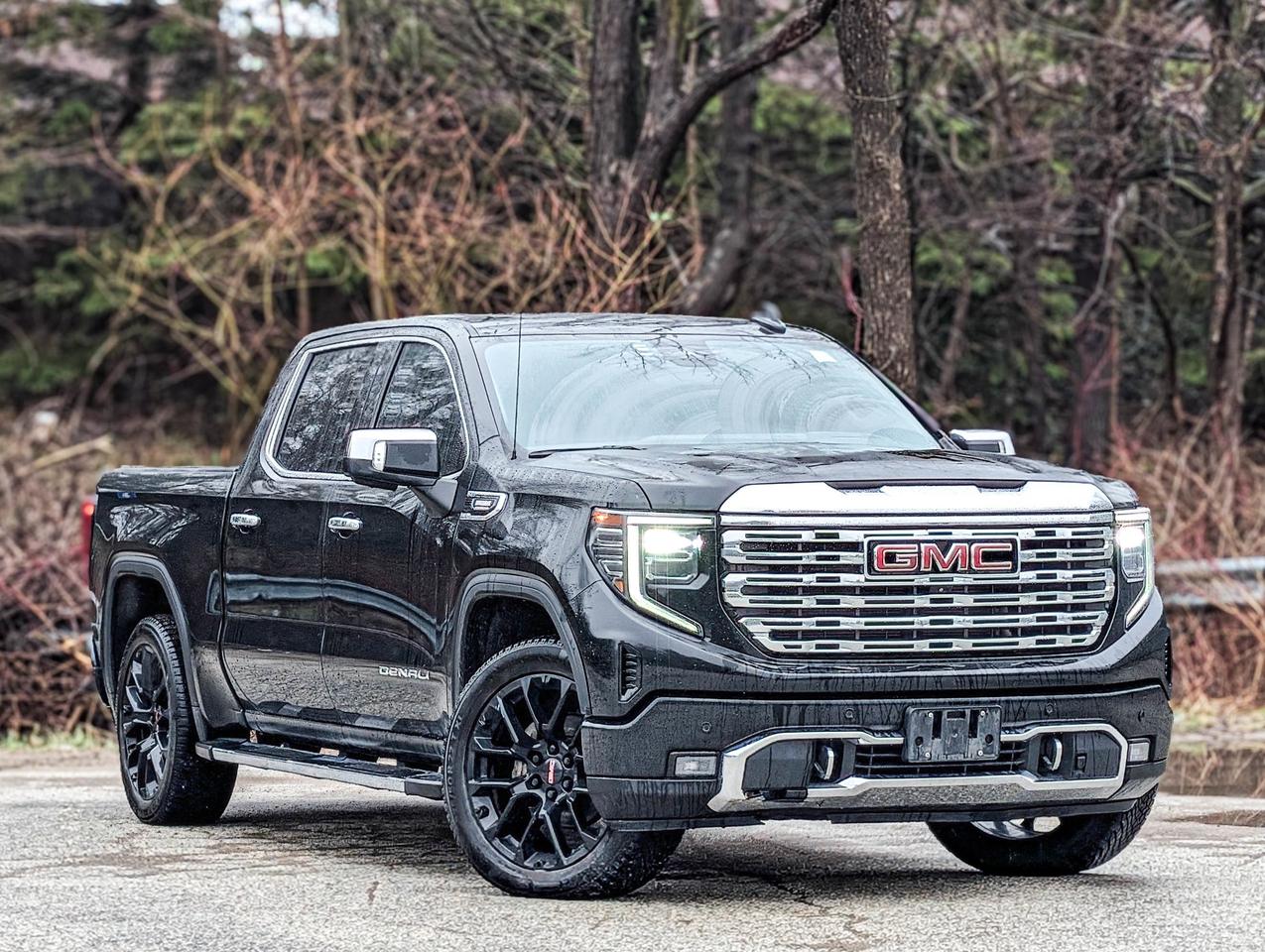 2023 GMC Sierra 1500 Denali Photo