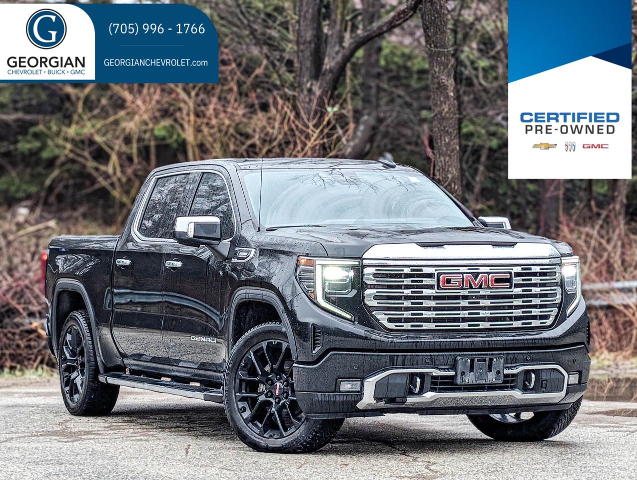 2023 GMC Sierra 1500 Denali Photo0