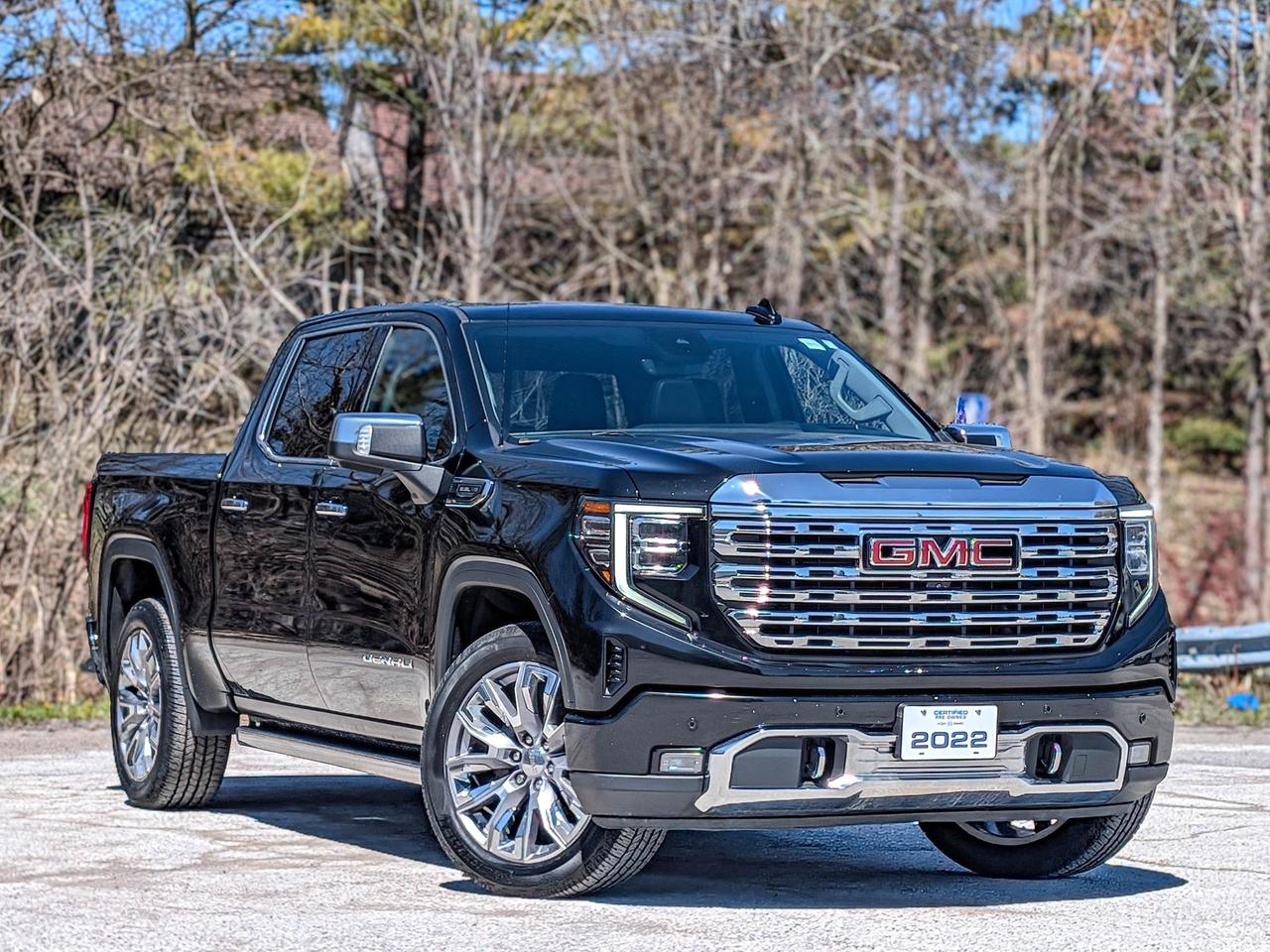 2022 GMC Sierra 1500 Denali Photo