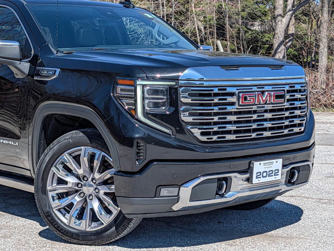 2022 GMC Sierra 1500 Denali Photo