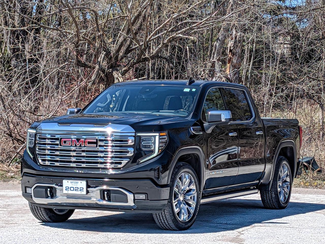 2022 GMC Sierra 1500 Denali Photo