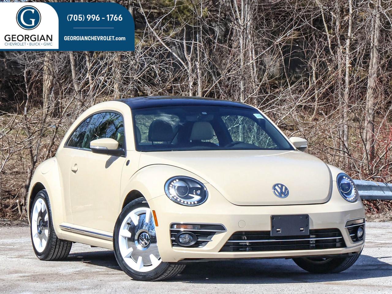 2019 Volkswagen Beetle Wolfsburg Edition Photo0