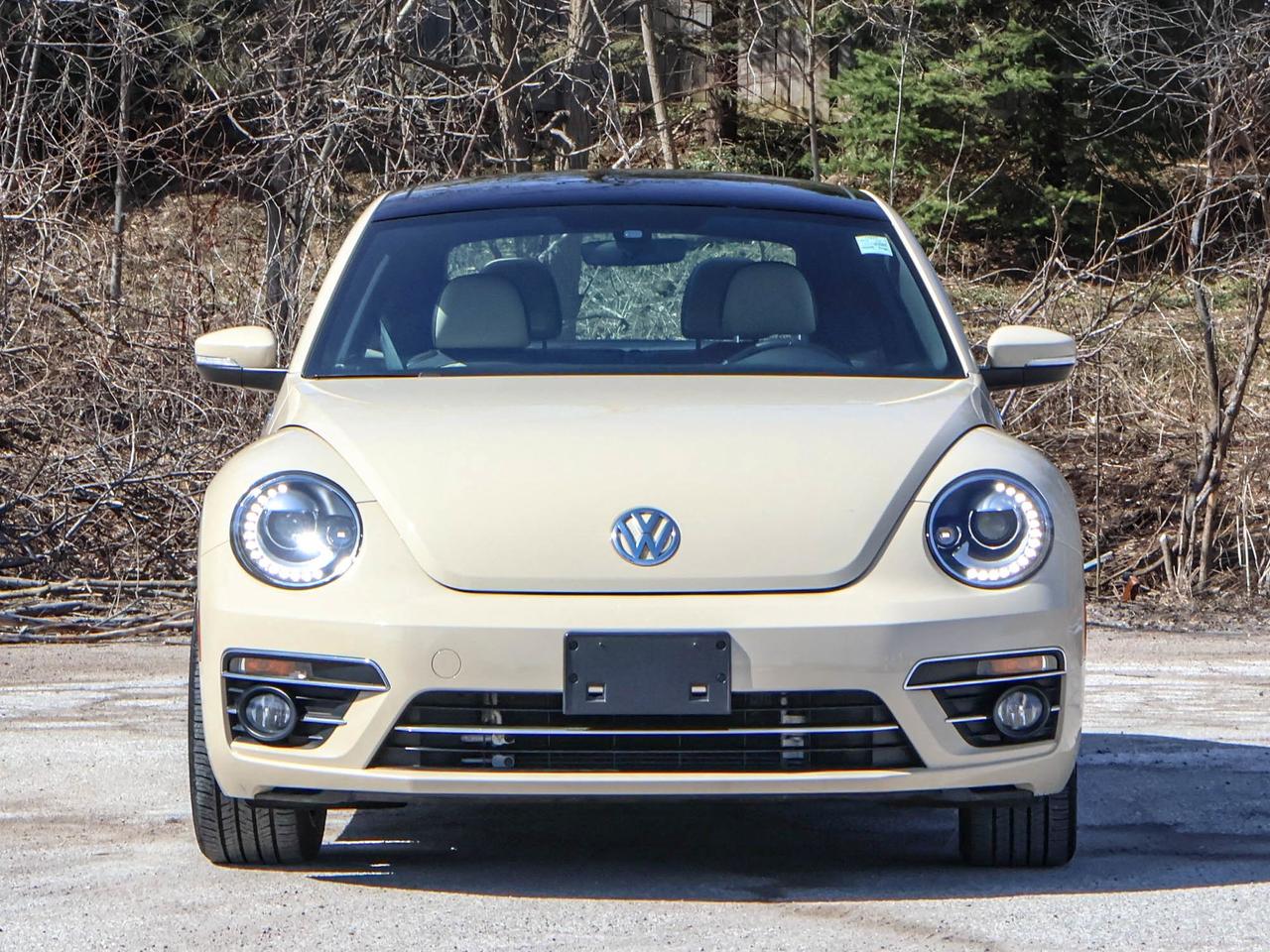 2019 Volkswagen Beetle Wolfsburg Edition Photo