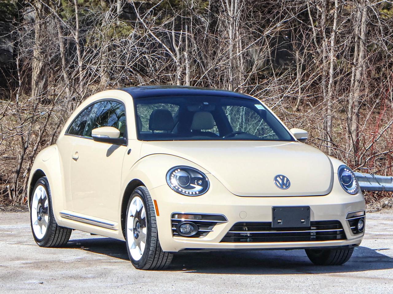 2019 Volkswagen Beetle Wolfsburg Edition Photo