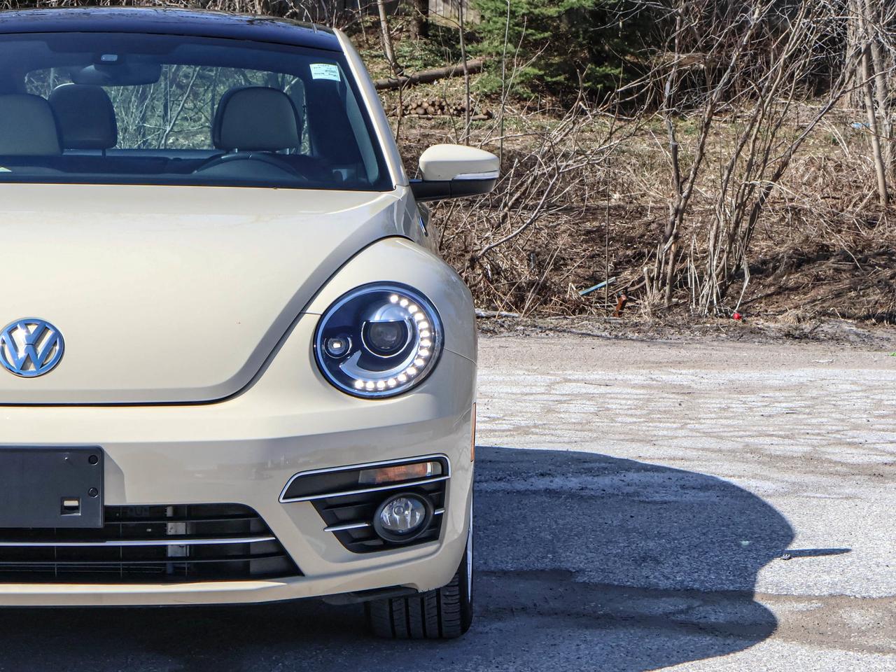 2019 Volkswagen Beetle Wolfsburg Edition Photo