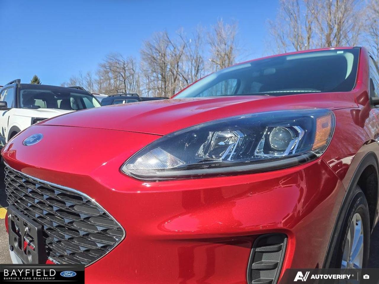 2022 Ford Escape SE Hybrid Photo