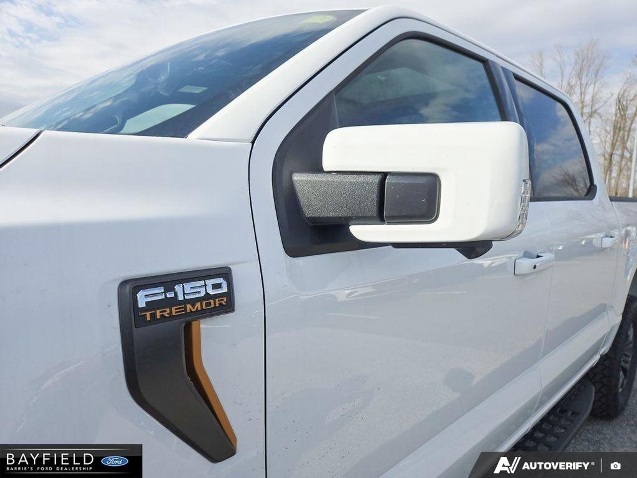 2026 Ford F-150 Tremor Photo