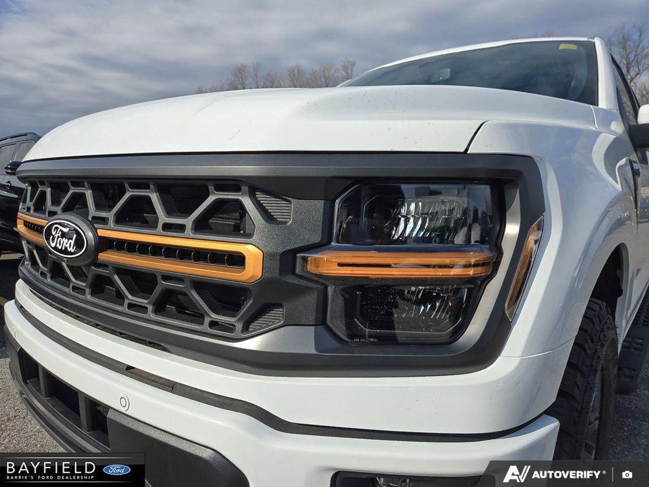 2026 Ford F-150 Tremor Photo