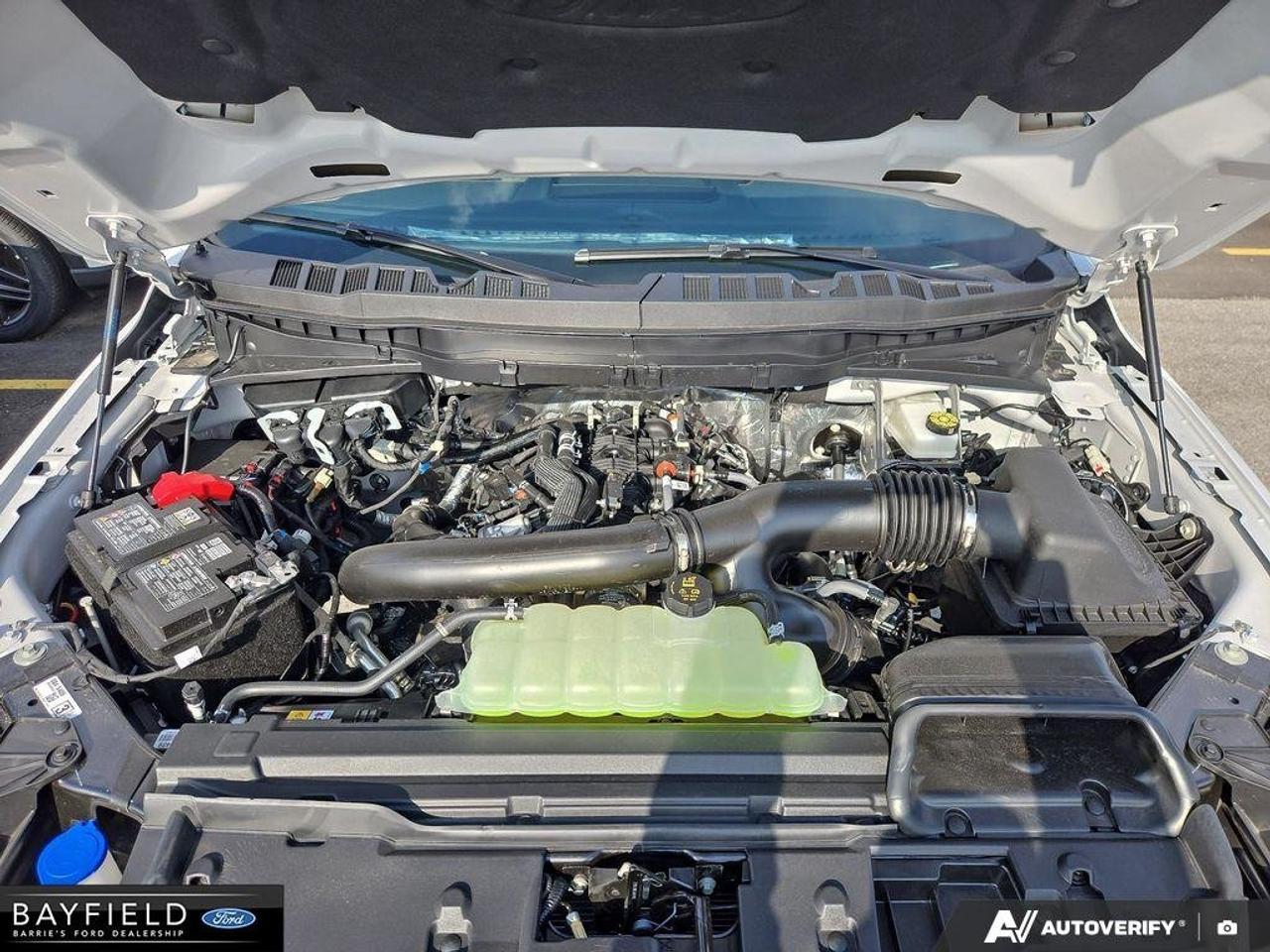 2026 Ford F-150 Tremor Photo
