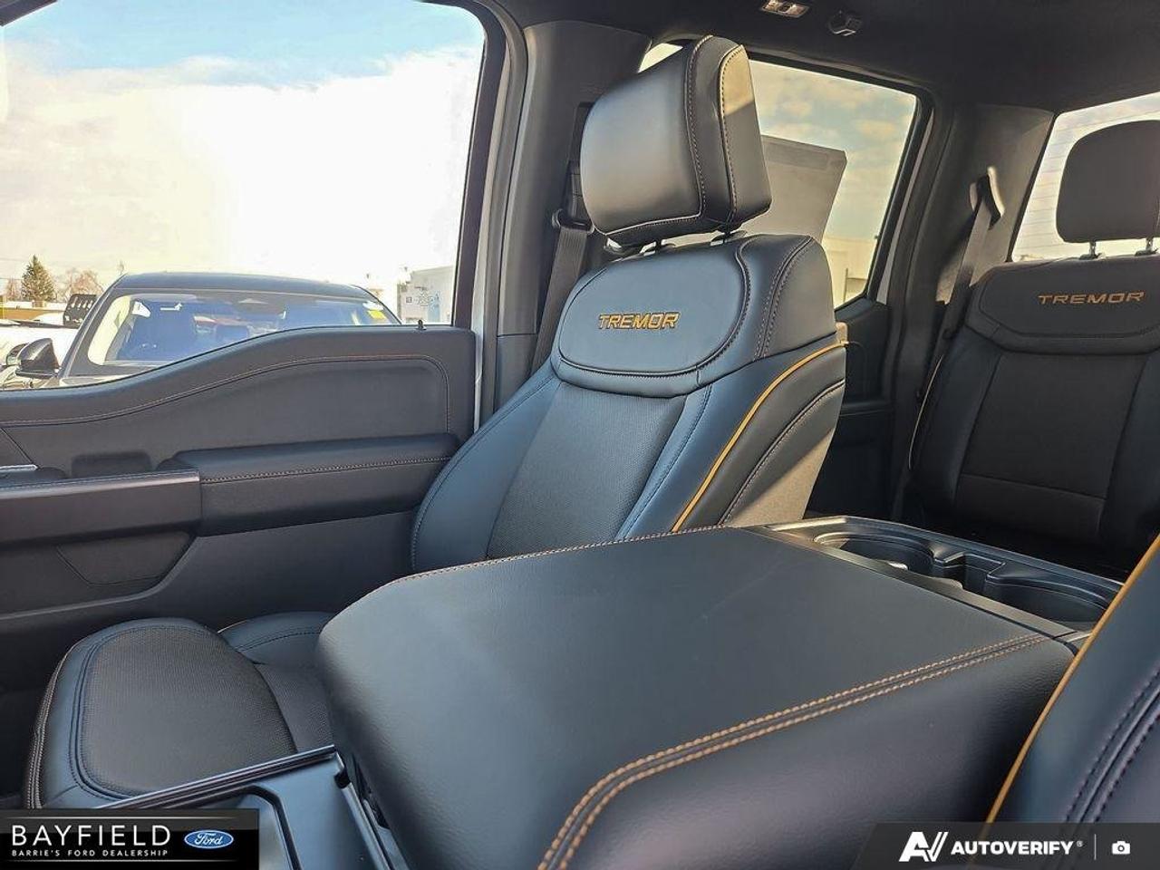 2026 Ford F-150 Tremor Photo