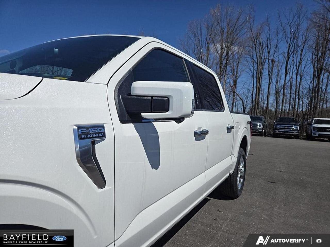 2026 Ford F-150 Platinum 4WD SuperCrew 5.5' Box Photo