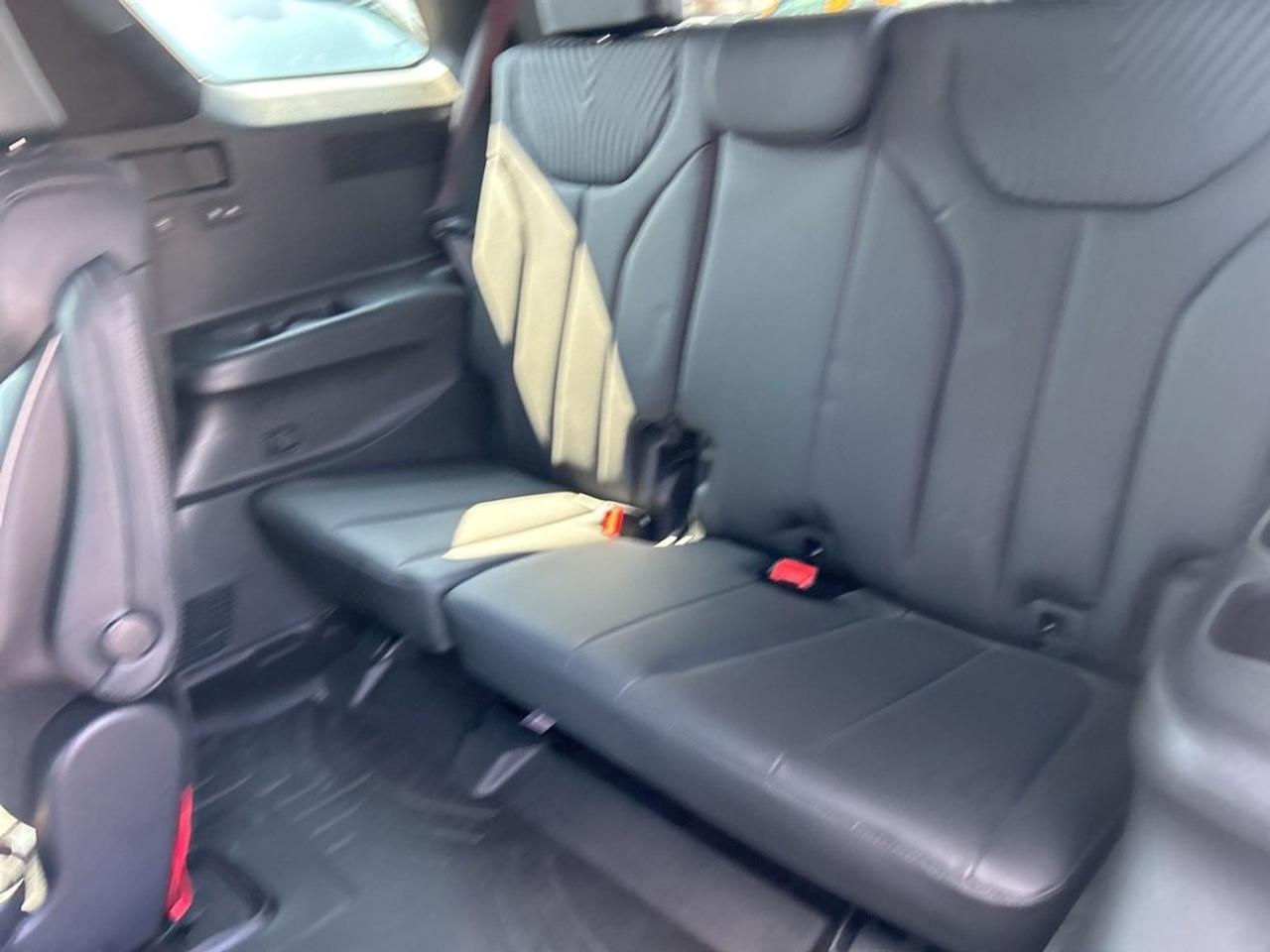 2023 Hyundai PALISADE AWD Ultimate Calligraphy 7P Photo