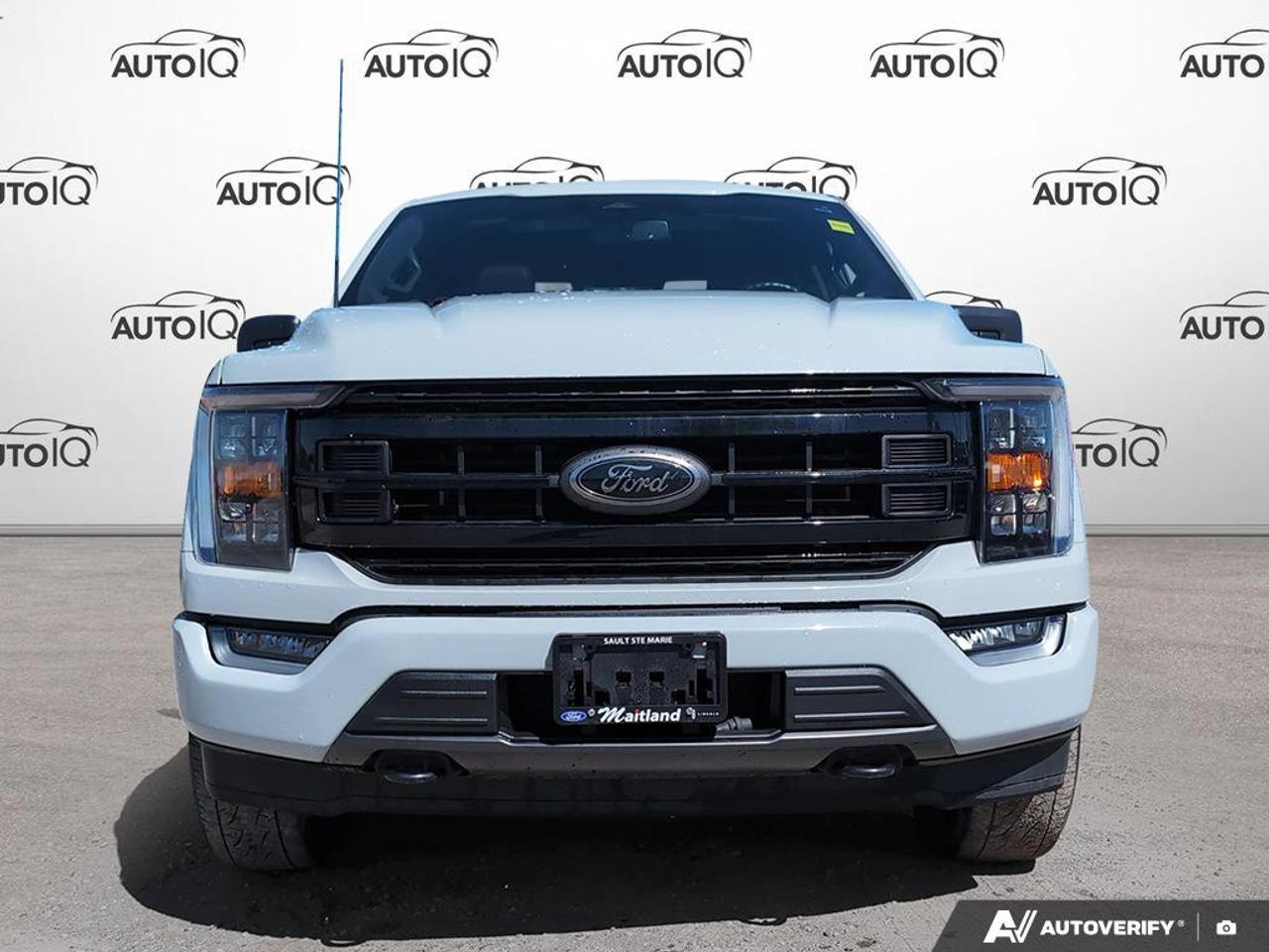 2023 Ford F-150 XLT HYBRID | BLACK APPERANCE PKG | MOON ROOF Photo