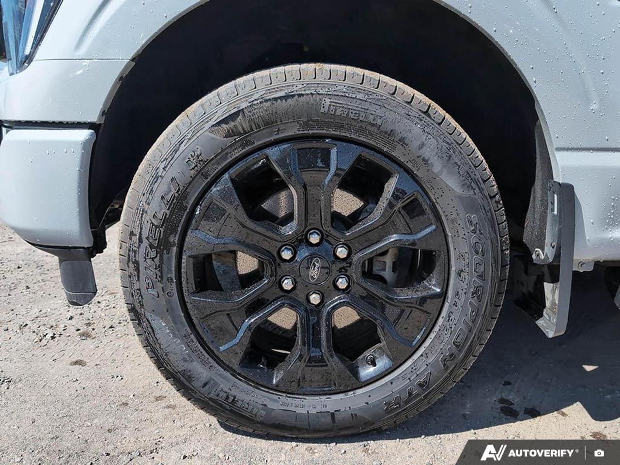 2023 Ford F-150 XLT HYBRID | BLACK APPERANCE PKG | MOON ROOF Photo